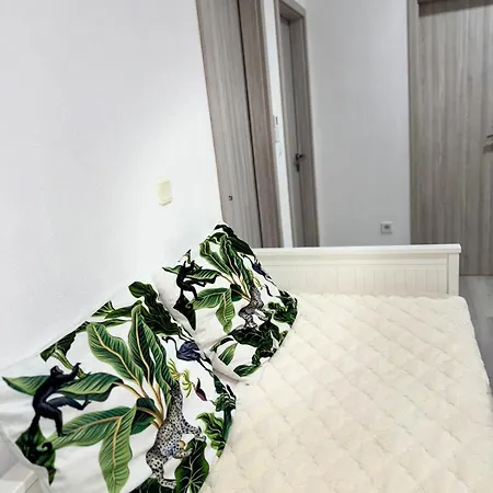 Paradise Zino * Lubiana