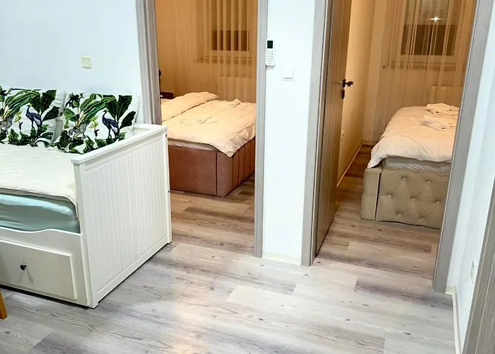 Paradise Zino Liubliana