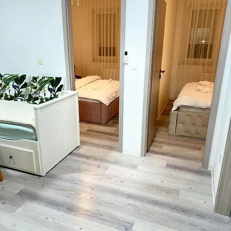 Paradise Zino Ljubljana